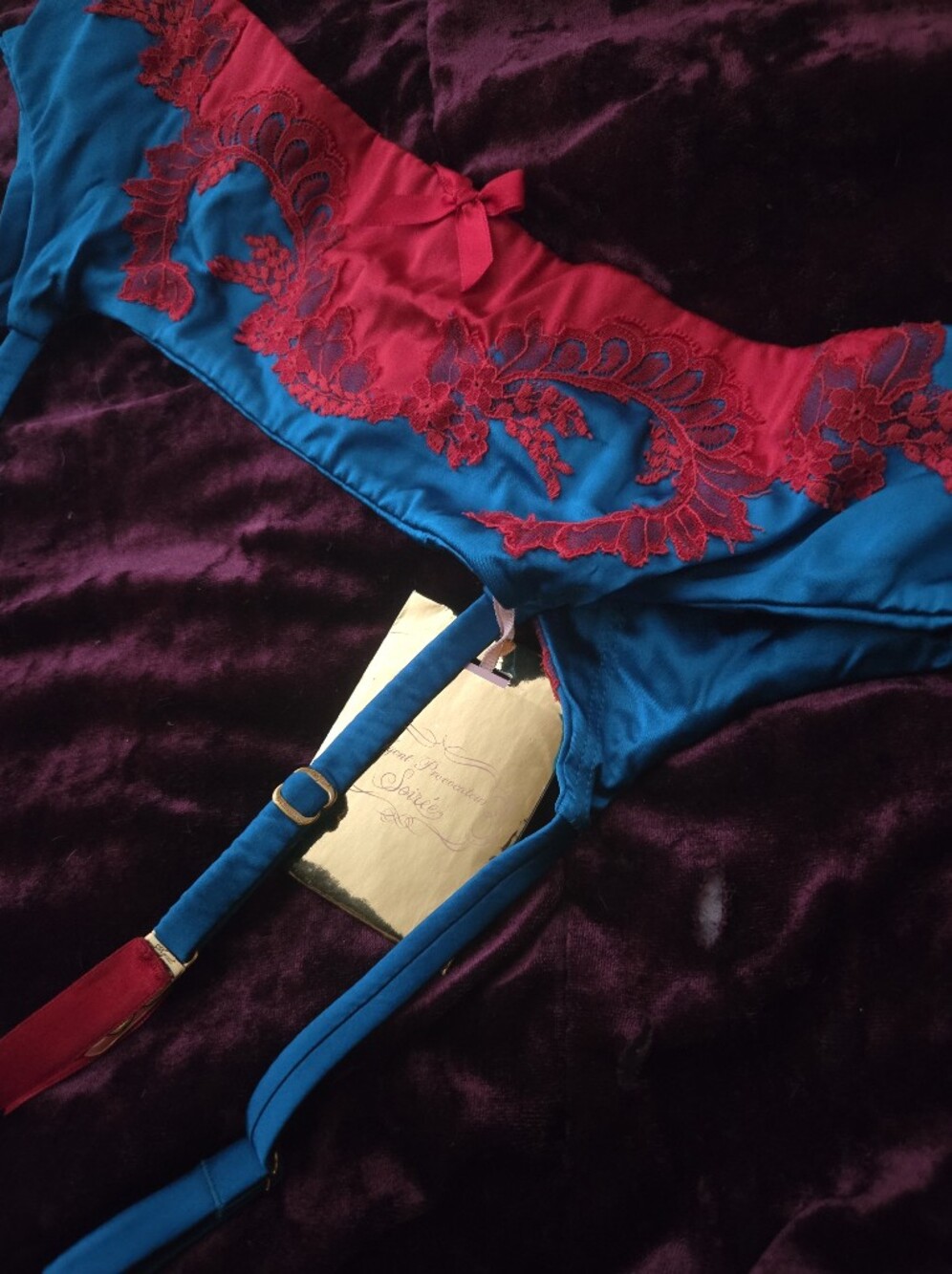 NWT Agent Provocateur Soirée Lottus Suspender Belt Silk Lace 4